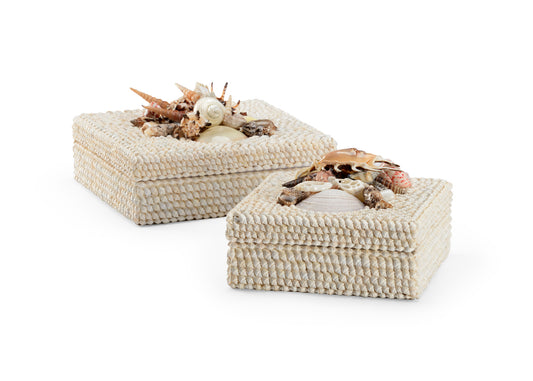 White Shell Boxes - Set of 2-Nautical Decor and Gifts