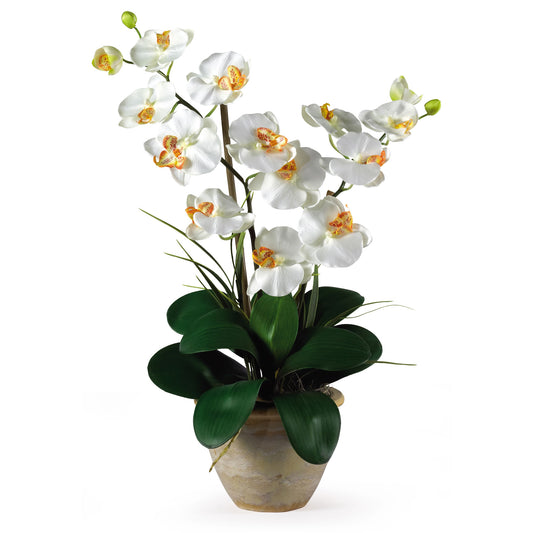 Double Stem Phalaenopsis Silk Orchid Arrangement-Faux Plant-Nautical Decor and Gifts
