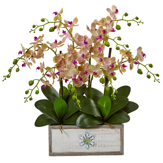Phalaenopsis Orchid Arrangement in Decorative Wood Vase-Faux Plant-Nautical Decor and Gifts