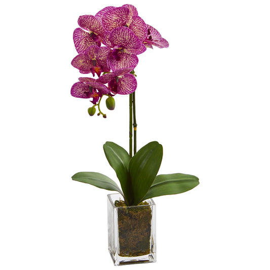 24” Orchid Phalaenopsis Artificial Arrangement In Vase-Faux Plant-Nautical Decor and Gifts