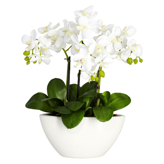 Phalaenopsis Silk Flower Arrangement-Faux Plant-Nautical Decor and Gifts