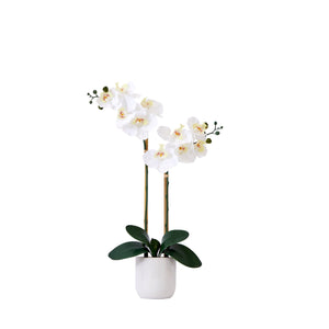 26” Artificial Real to Touch Double Orchid Phalaenopsis with Decorative Vase-Faux Plant-Nautical Decor and Gifts