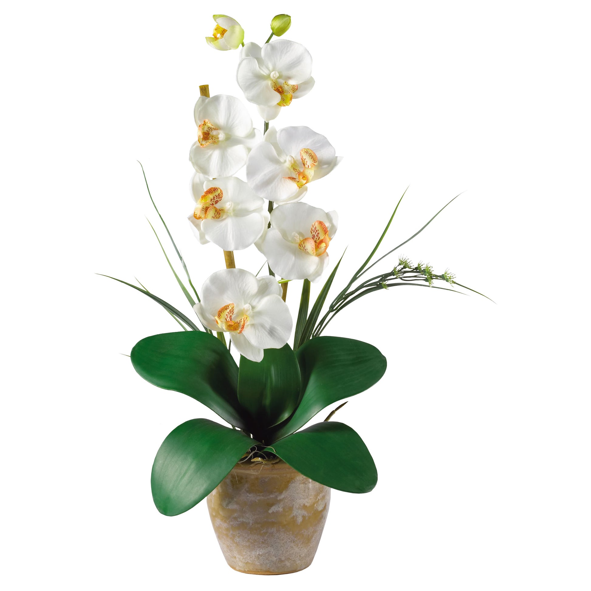 Single Stem Phalaenopsis Silk Orchid Arrangement-Faux Plant-Nautical Decor and Gifts