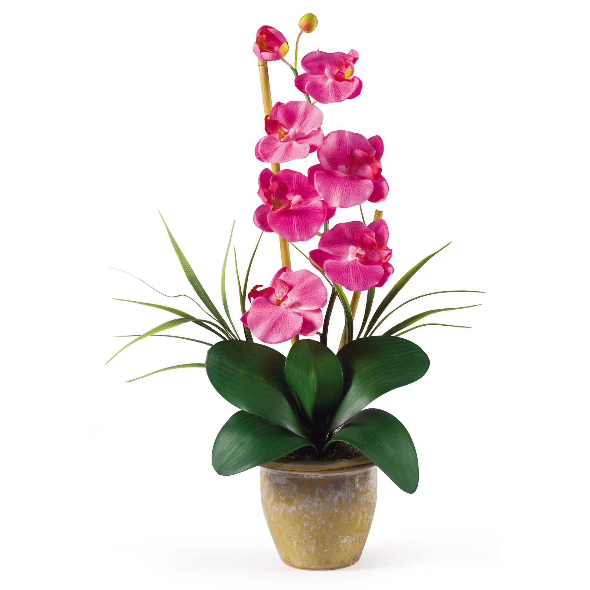 Single Stem Phalaenopsis Silk Orchid Arrangement-Faux Plant-Nautical Decor and Gifts