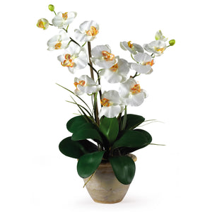 Double Stem Phalaenopsis Silk Orchid Arrangement-Faux Plant-Nautical Decor and Gifts