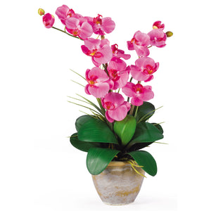 Double Stem Phalaenopsis Silk Orchid Arrangement-Faux Plant-Nautical Decor and Gifts