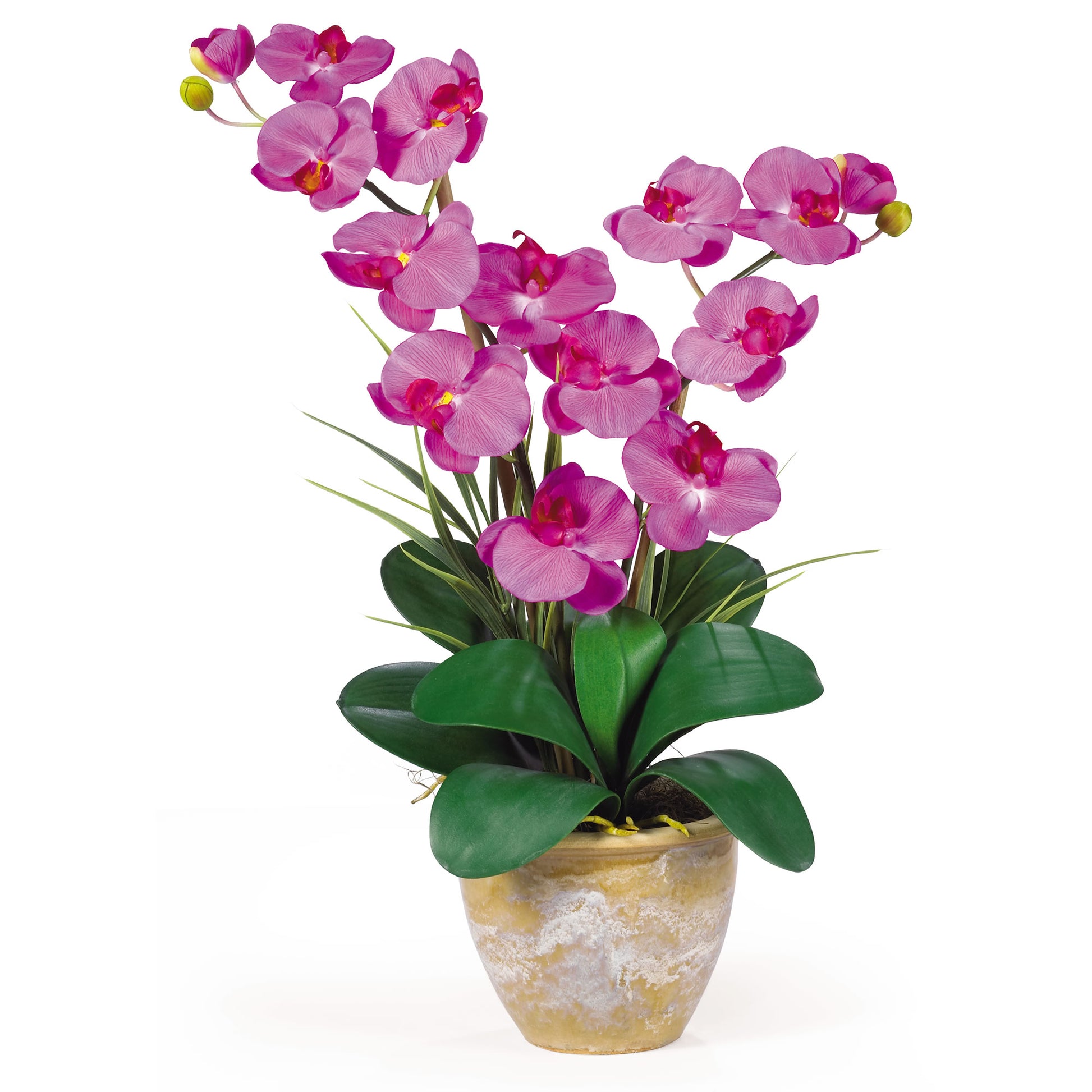 Double Stem Phalaenopsis Silk Orchid Arrangement-Faux Plant-Nautical Decor and Gifts