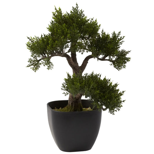 Faux 15” Cedar Bonsai-Faux Plant-Nautical Decor and Gifts