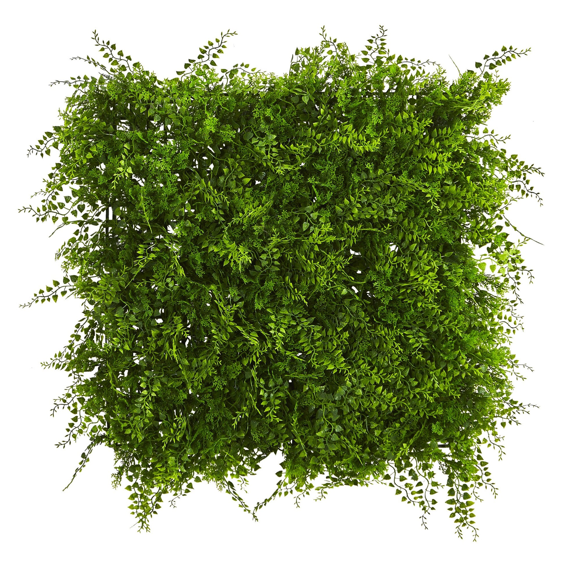 20” x 20” Lush Mediterranean Artificial Fern Wall Panel UV Resistant (Indoor/Outdoor)