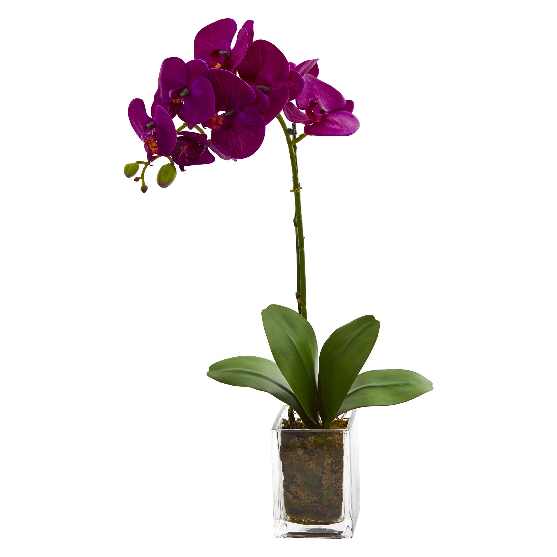 24” Orchid Phalaenopsis Artificial Arrangement In Vase-Faux Plant-Nautical Decor and Gifts