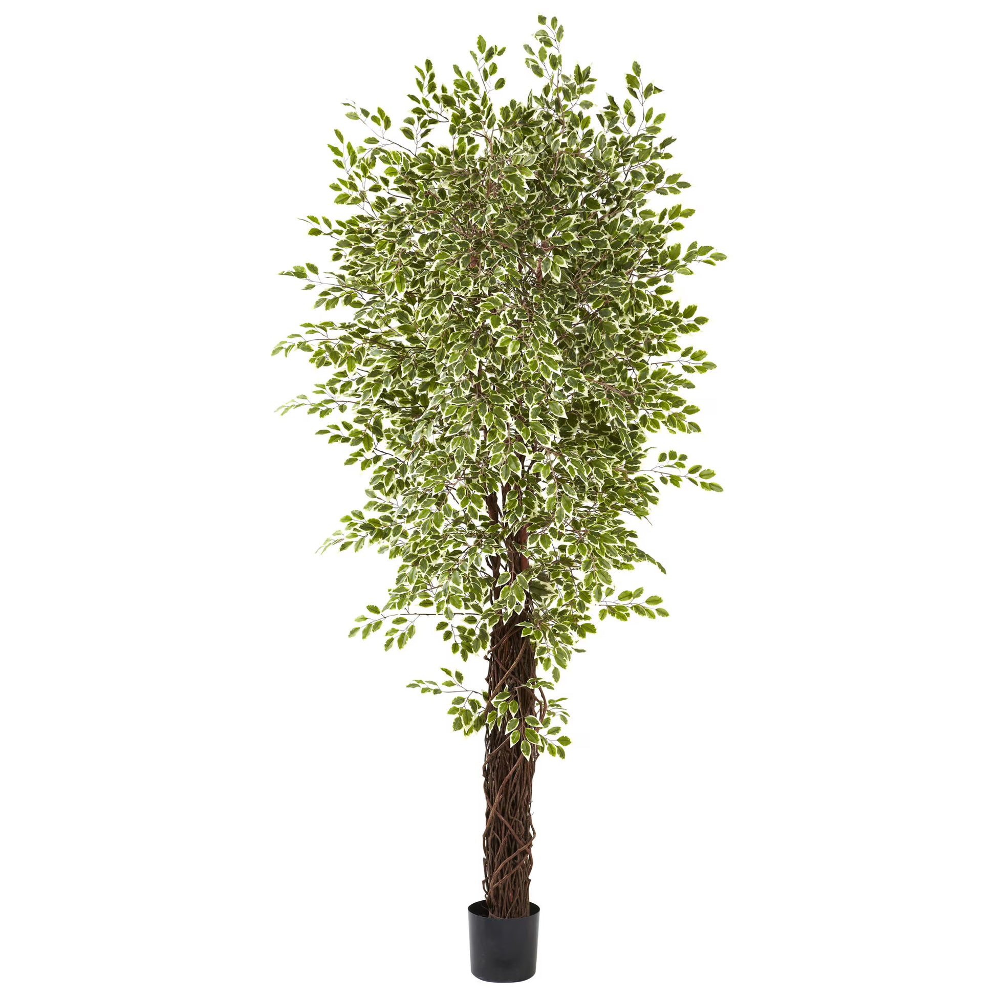 Variegated Ficus Artificial Tree