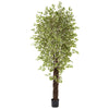 Variegated Ficus Artificial Tree