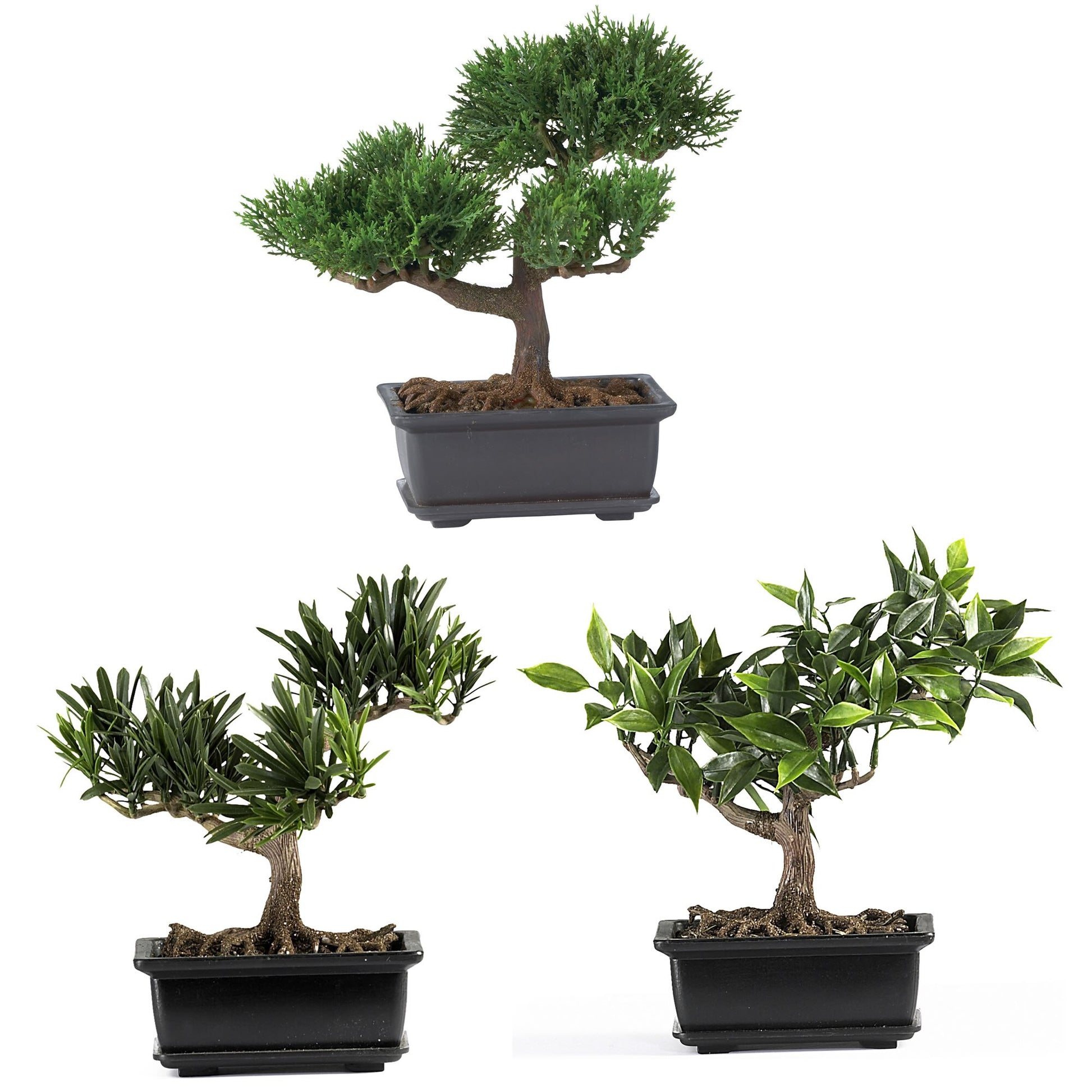 8.5" Bonsai Silk Plant Collection (Set of 3)-Faux Plant-Nautical Decor and Gifts