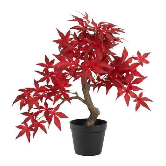 20” Autumn Maple Bonsai-Faux Plant-Nautical Decor and Gifts