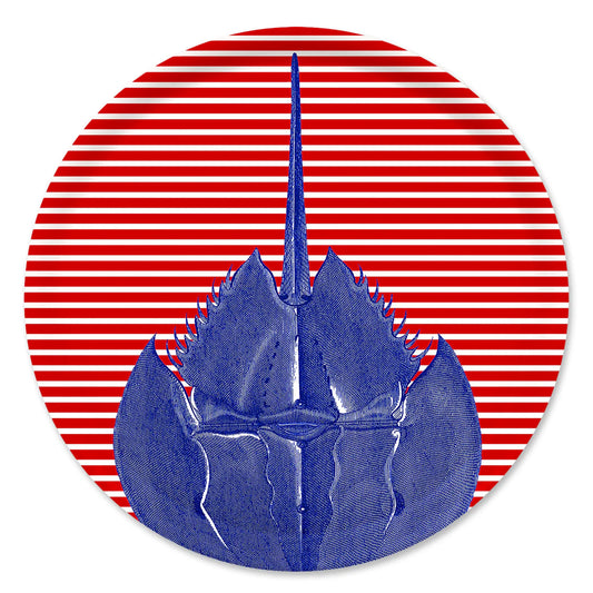 Horseshoe Crab Large Round Birchwood Tray-Nautical Decor and Gifts