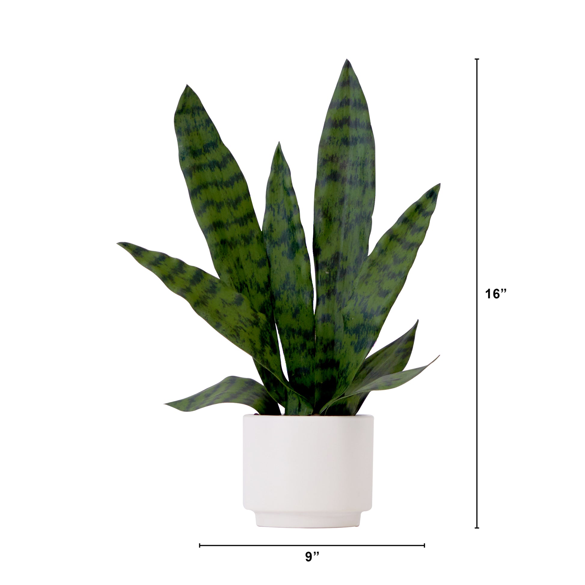 16" Artificial Sansevieria Snake Plant With Decorative Planter-Faux Plant-Nautical Decor and Gifts