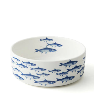 White pet bowl with school of blue fish pattern