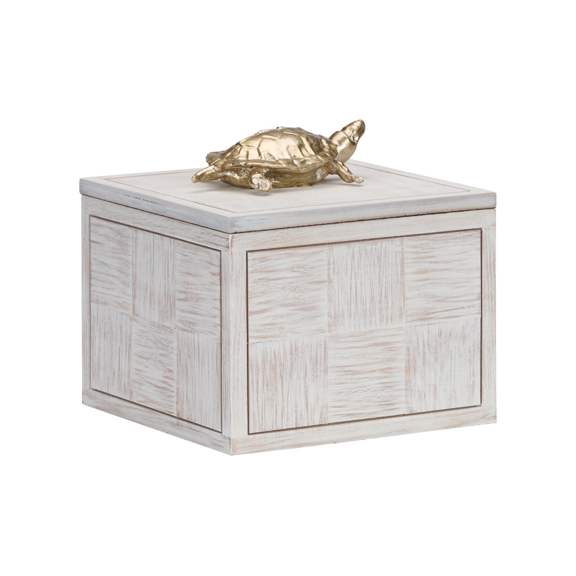 Tortoise on Wooden Box | Free Shipping