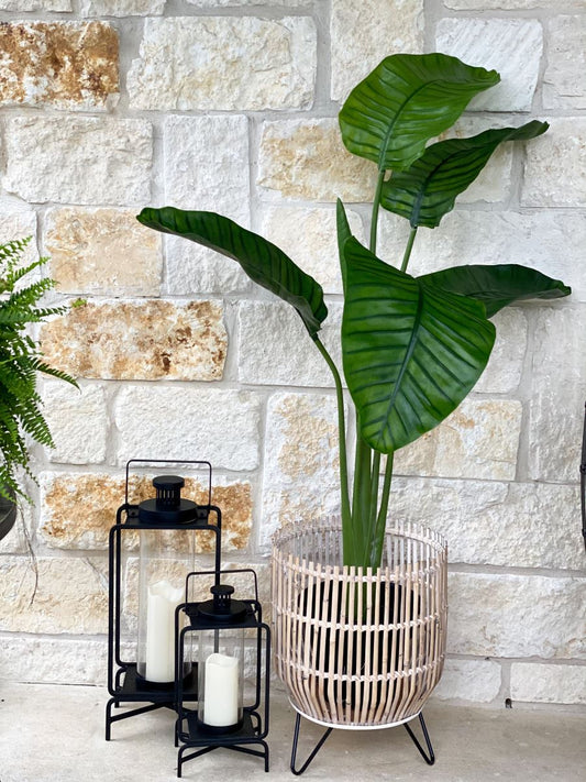 5' Travelers Palm Tree UV Resistant (Indoor/Outdoor)-Faux Plant-Nautical Decor and Gifts