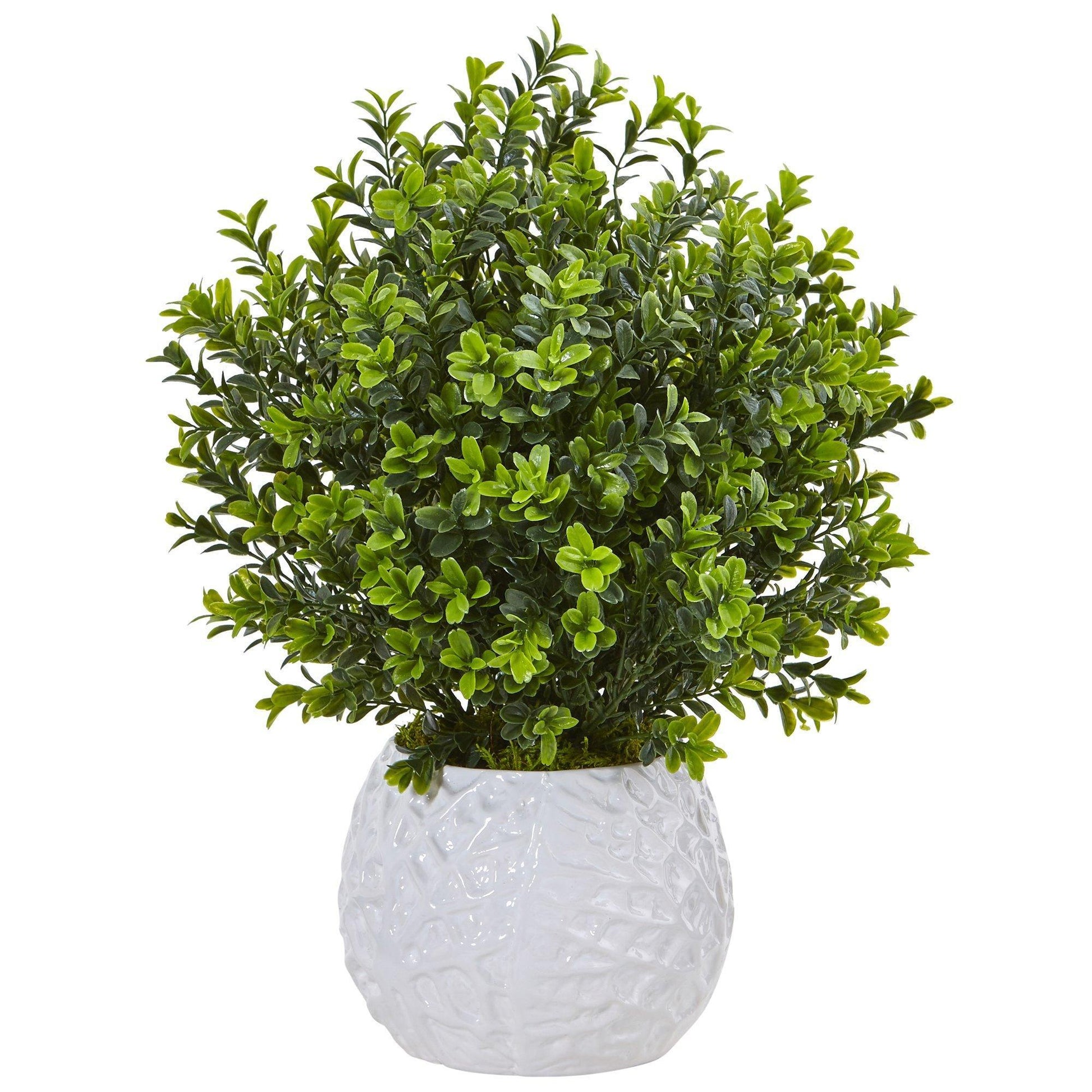 Boxwood in White Vase (Indoor/Outdoor)-Faux Plant-Nautical Decor and Gifts