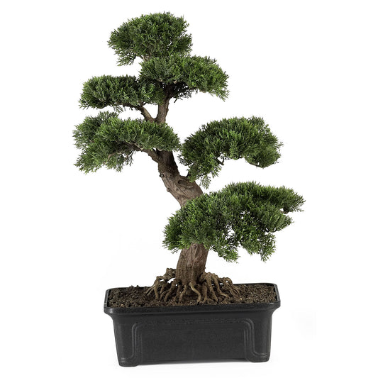 Cedar Bonsai 24" Silk Plant-Faux Plant-Nautical Decor and Gifts