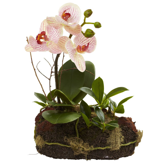 Orchid Island (Set Of 2)-Faux Plant-Nautical Decor and Gifts