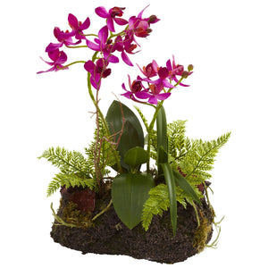 Orchid Island (Set Of 2)-Faux Plant-Nautical Decor and Gifts